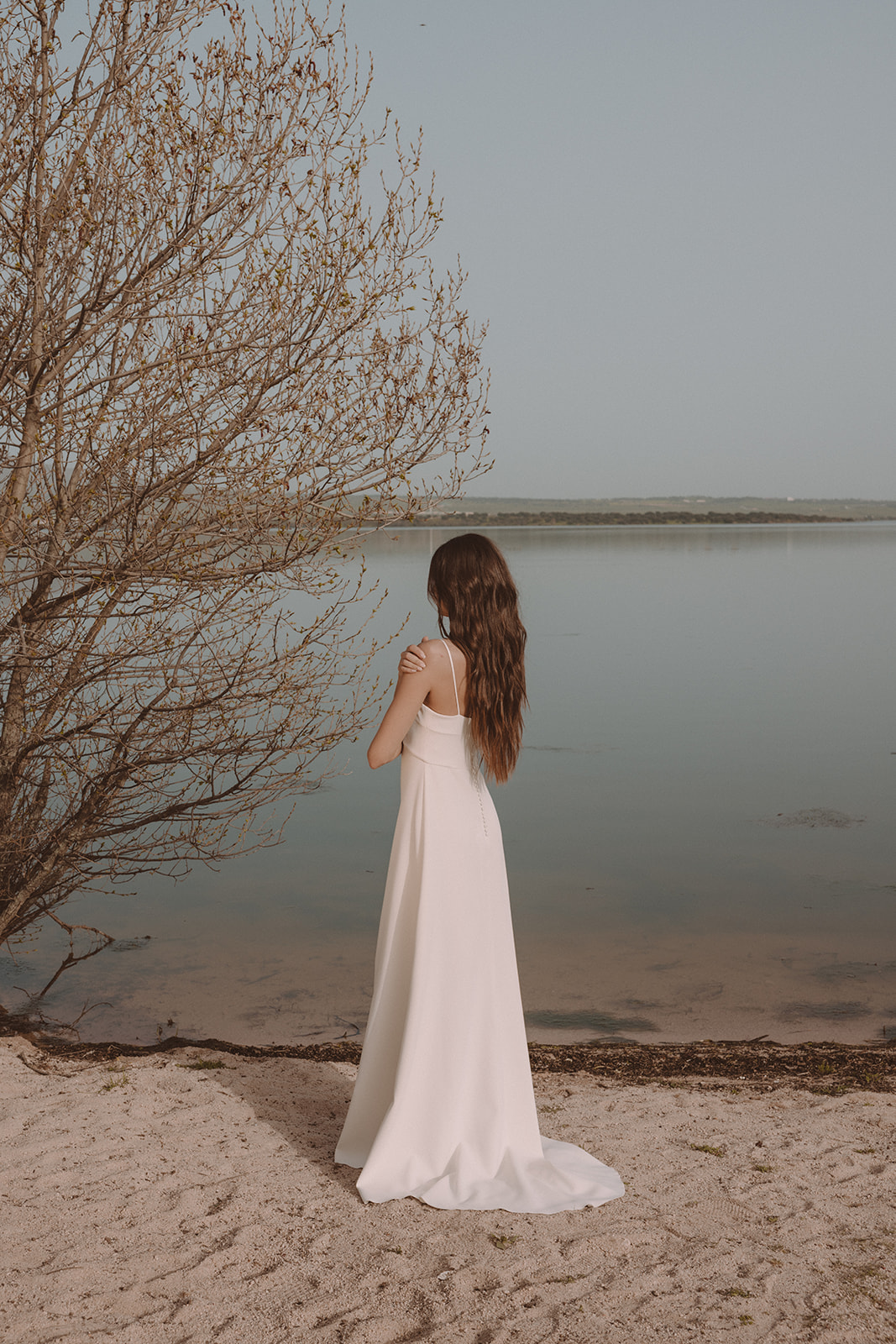 ALPHONSINE